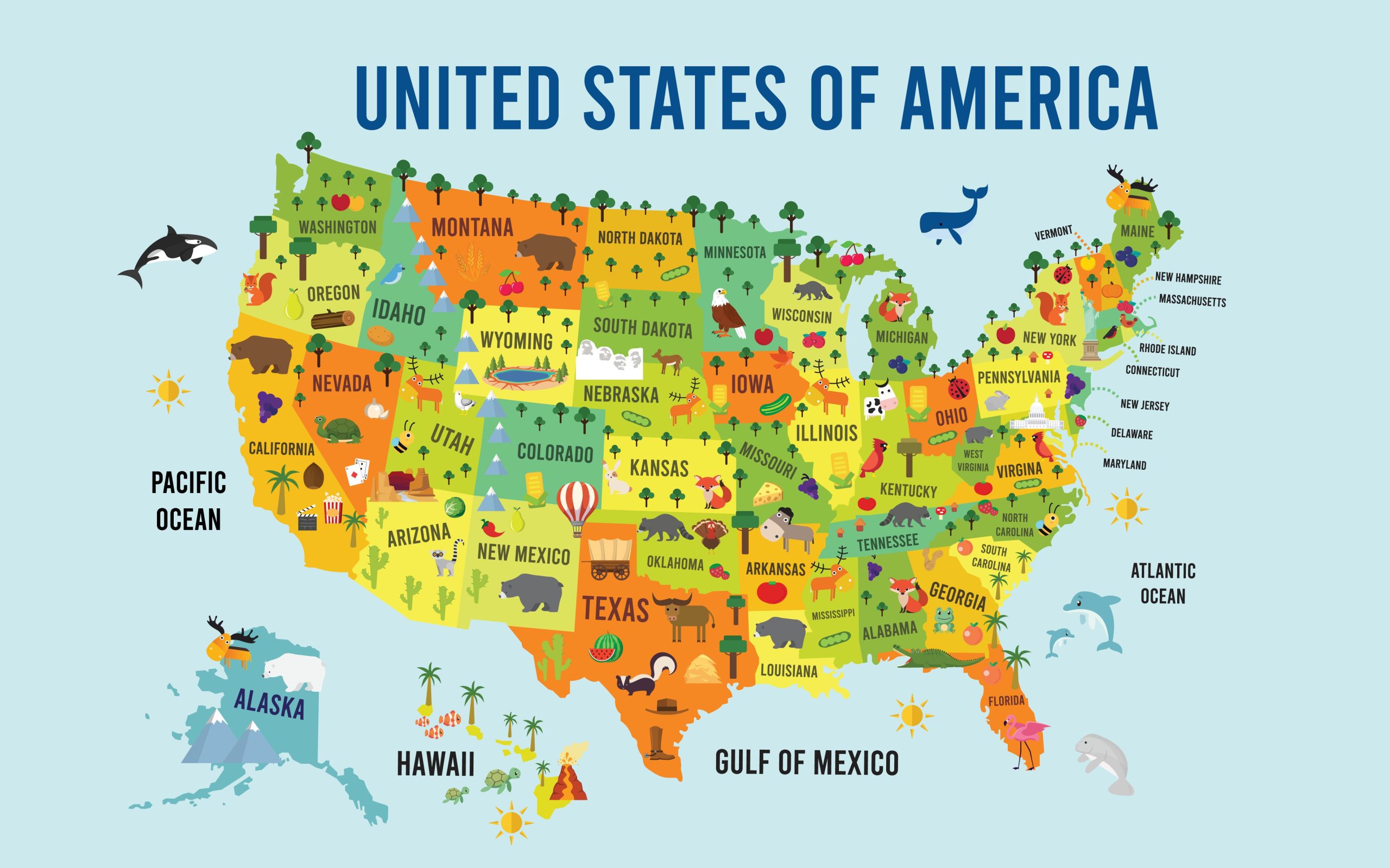 Image of USA Map